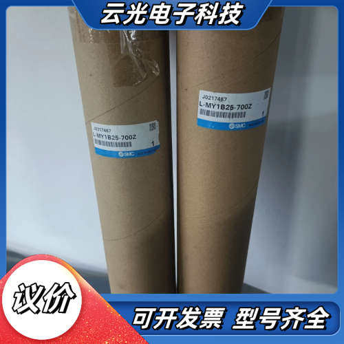 机械结合式无杆气缸，型号L-MY1B25-700Z，可议价