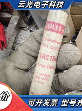 GOULD TRS15R 熔断器 保险管 件，50议价