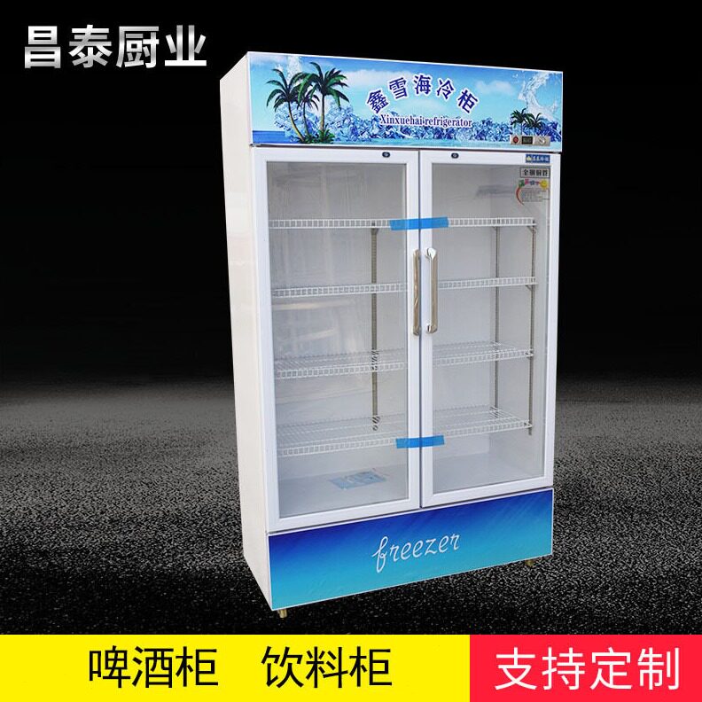 直销山东厂家现货双门啤酒饮料柜 门保温冷藏保鲜超市小卖部用冷