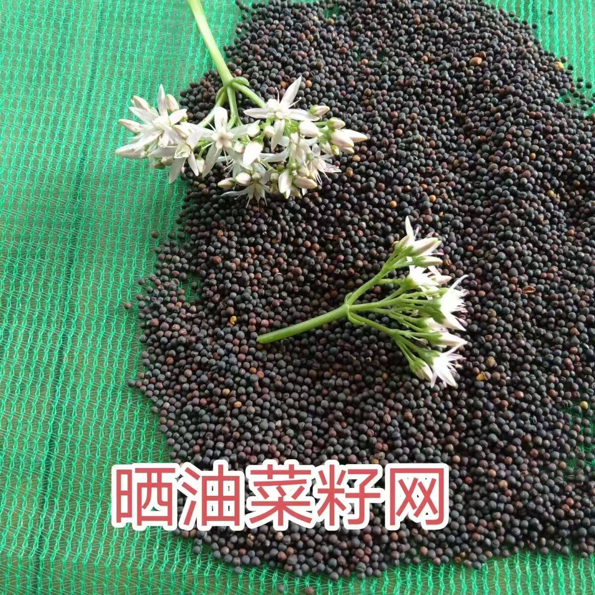 垫子抗晒加厚透气网布晒芝麻菜籽油菜籽专用网