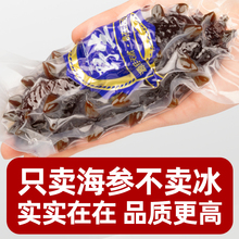 【无冰】野生海参即食海参正宗辽参非礼盒大连辽刺参新鲜开袋即食