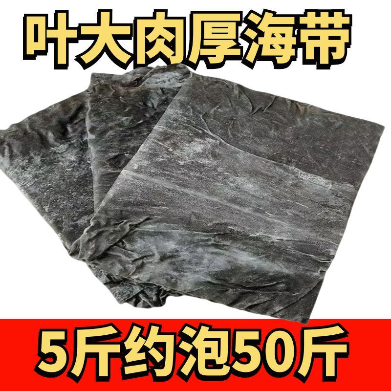 500g霞浦干净厚整张干海带无砂煲汤上等海带干货新鲜优质海带头丝