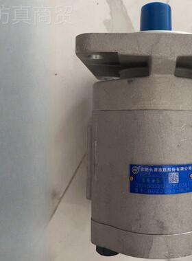 长源CBGZ06-BLP液齿轮泵CBGZ22100/2DBM3050/2040-BLPR/BFH/B压FX