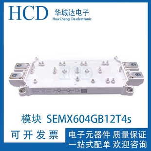 原装 模块 SEMX353GB12T4Es SEMX453GB12T4Es SEMX604GB12T4s