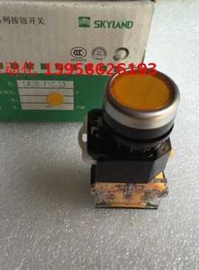 SKYLAND天洲  LA126B LA38-11/203 黄色按钮 银点铜件