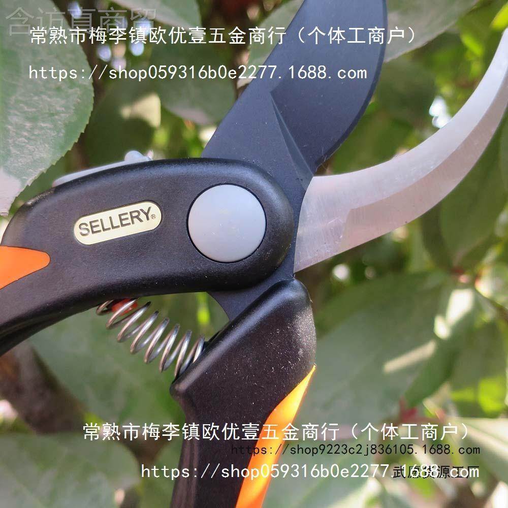 园艺 修剪剪果树园林化家用园花锋利耐用绿园GDA艺剪刀