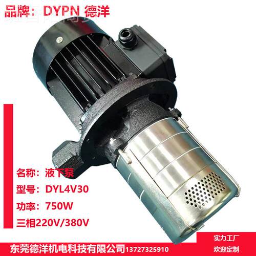 式东莞优惠冷却高压泵 水数控机床水 YPD泵 立2V-3泵0泵 设备泵