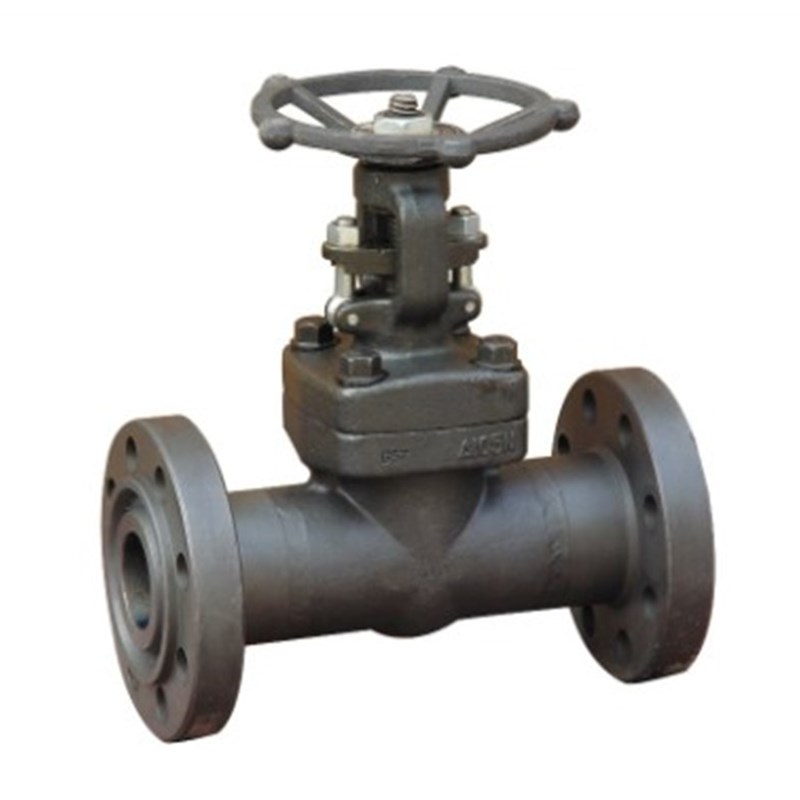 高压闸阀Z41H/Y-64/100 A105 高压锻钢锻打法兰闸阀DN15 20 25