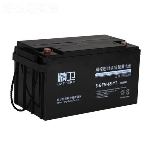 精卫蓄电池 A6-GF65-YT- 12V65H阀控密封式M铅酸免维护UPSRJI专用