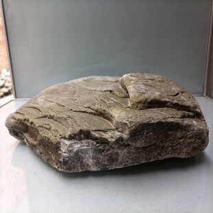 溪流石扁平鱼缸造景乌龟晒台千层石龟页岩细沙一石成景摆件主石