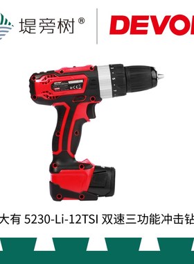 大有 5230-Li-12TSI 12V 锂电池充电式双速三功能冲击钻