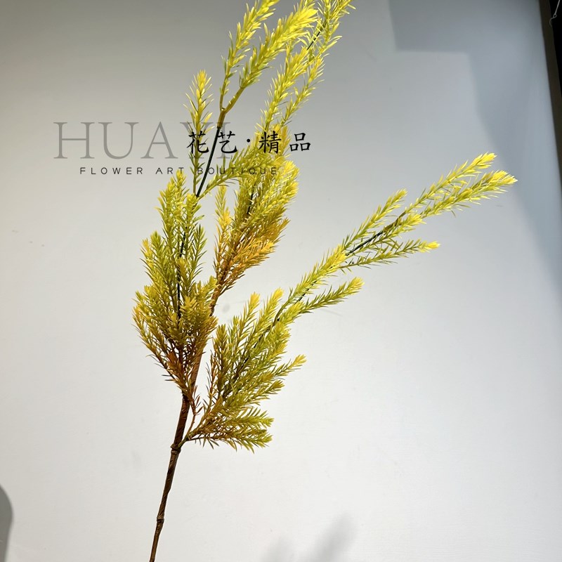 金色千层金黄金松香柳枝仿真花婚庆布置花材植物插花素材天门冬