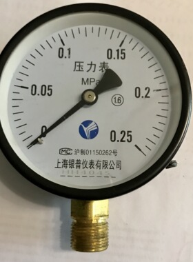 压力表 上海银普仪表有限公司  Y100 0 025mpa 螺纹m20x15