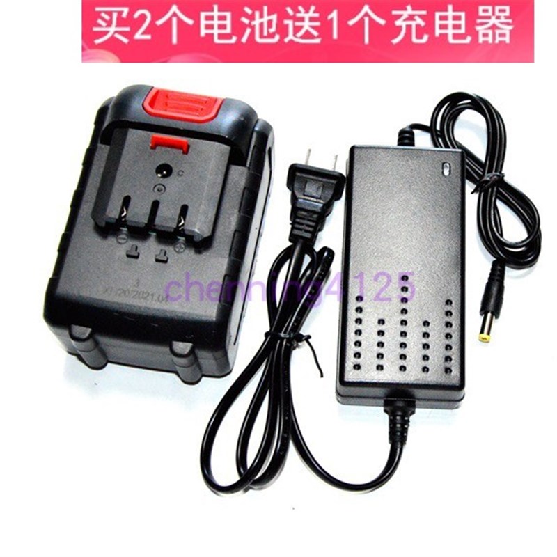 莱普森 极光车48VF 48V无线洗车机高压水枪清洗机999锂电池充电器