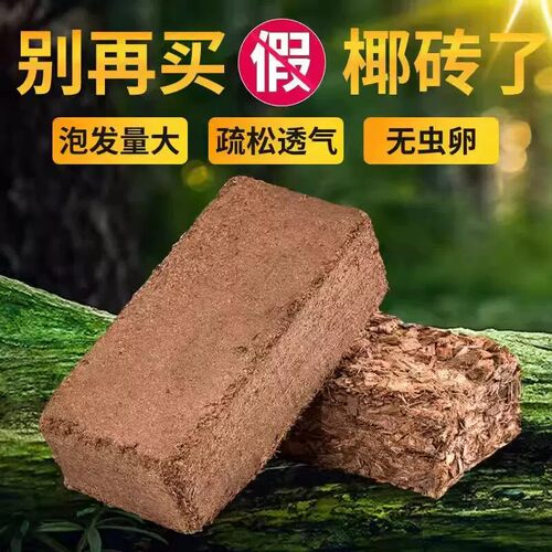 脱盐椰糠椰砖营养土通用多肉