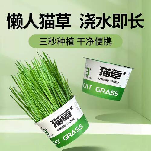 懒人猫草罐头化毛薄毛荷片膏