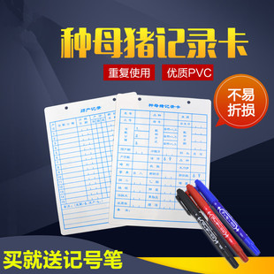 种猪记录卡双面加厚母猪塑料妊娠卡种猪档案卡片养猪养殖设备器械