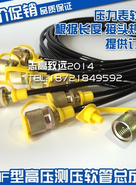 测压软管 测试软管 SMS-20/M1/4-1000A 1200A 1500A 2000A 2500A