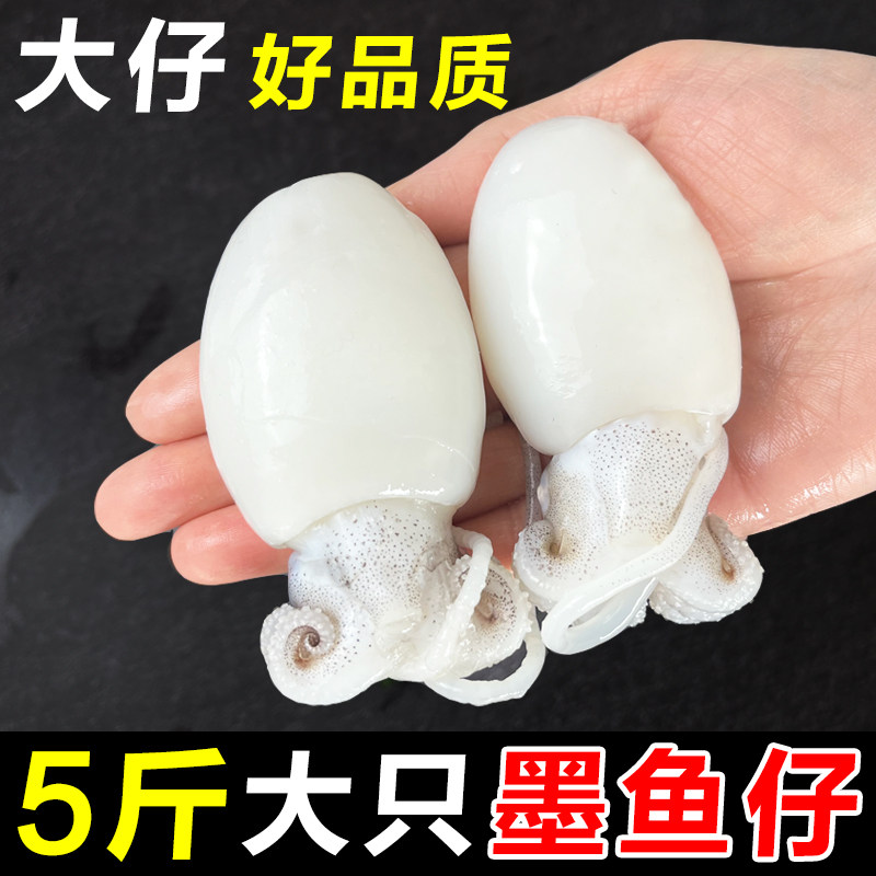 墨鱼仔新鲜冷冻大号去皮去内脏免清理冷冻乌贼鱿鱼捞汁小海鲜商用