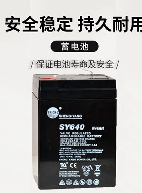 SHENGYANG 晟阳蓄电池 SY640 6V4AH 玩具车 童车 电子称用电瓶