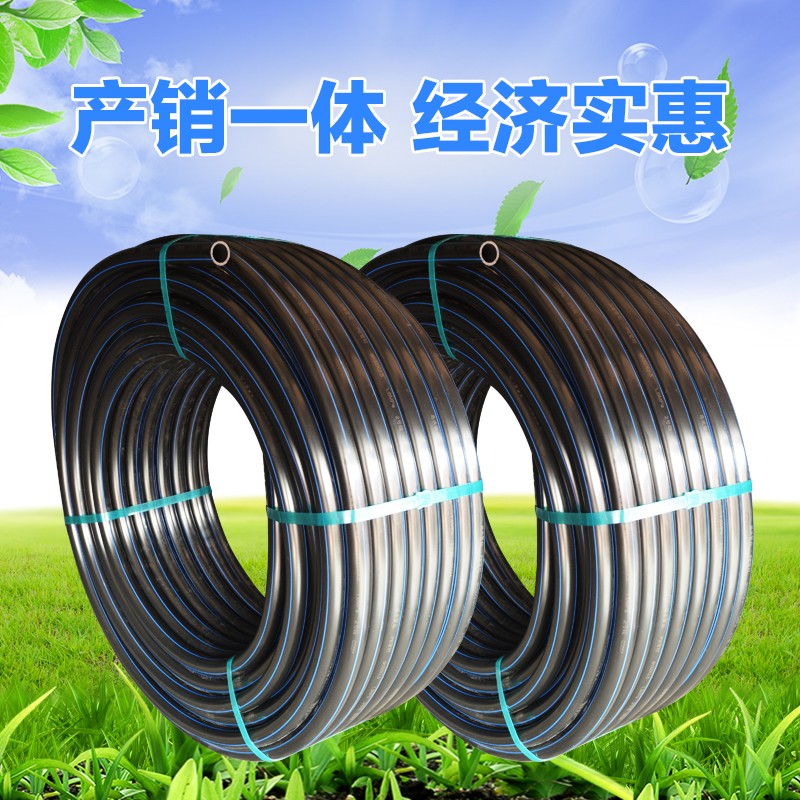 pe黑色盘管20/25/32 4分6分1寸PE农田灌溉盘管PE自来水管PE管材