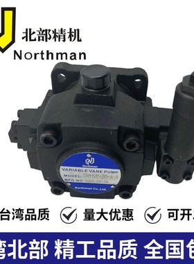 Northman 台湾北部 HVPVC-F30/F40-A2/A3/A4/A5-02 液压泵现货