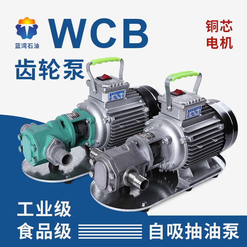 WCB齿轮油泵自吸式电动抽油泵高粘度柴油食用油抽油泵不锈钢油泵,童鞋/婴儿鞋/亲子鞋,量脚器,淘宝优惠券,粉丝福利购,淘宝优惠卷