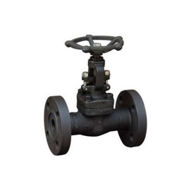 A105锻钢截止阀J41H-64/100锻钢锻打法兰截止阀DN15 20 25 32 40