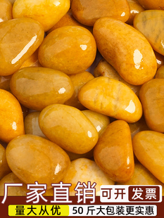 黄色鹅卵石铺路铺地庭院造景天然大小石子石头雨花石原石鹅软暖石