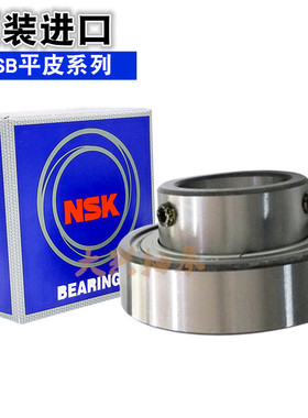日本进口VTYG外平皮轴承CSA/CSB203 204 205 206 207 208 209