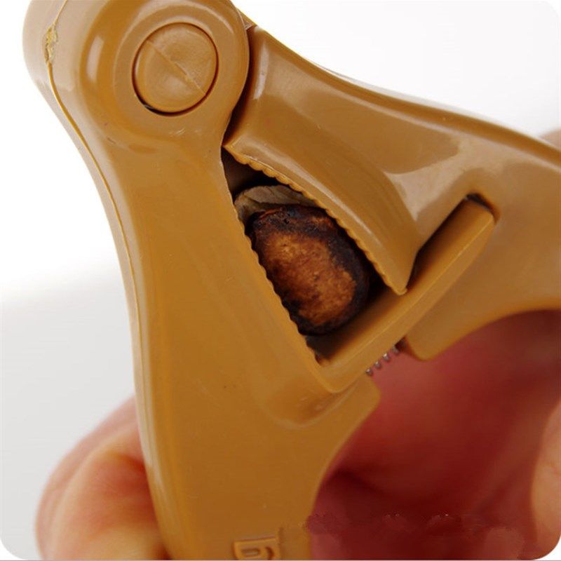 正品坚果剥壳器黑瓜子开心果白瓜子剥皮夹嗑瓜子器西瓜子剥瓜籽钳,鲜花速递/花卉仿真/绿植园艺,洒水/浇水壶,淘宝优惠券,粉丝福利购,淘宝优惠卷