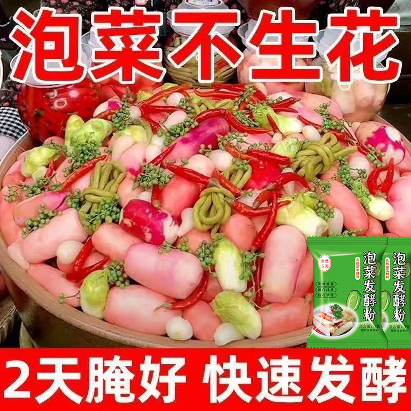 泡菜乳酸菌发酵粉四川腌泡菜韩式