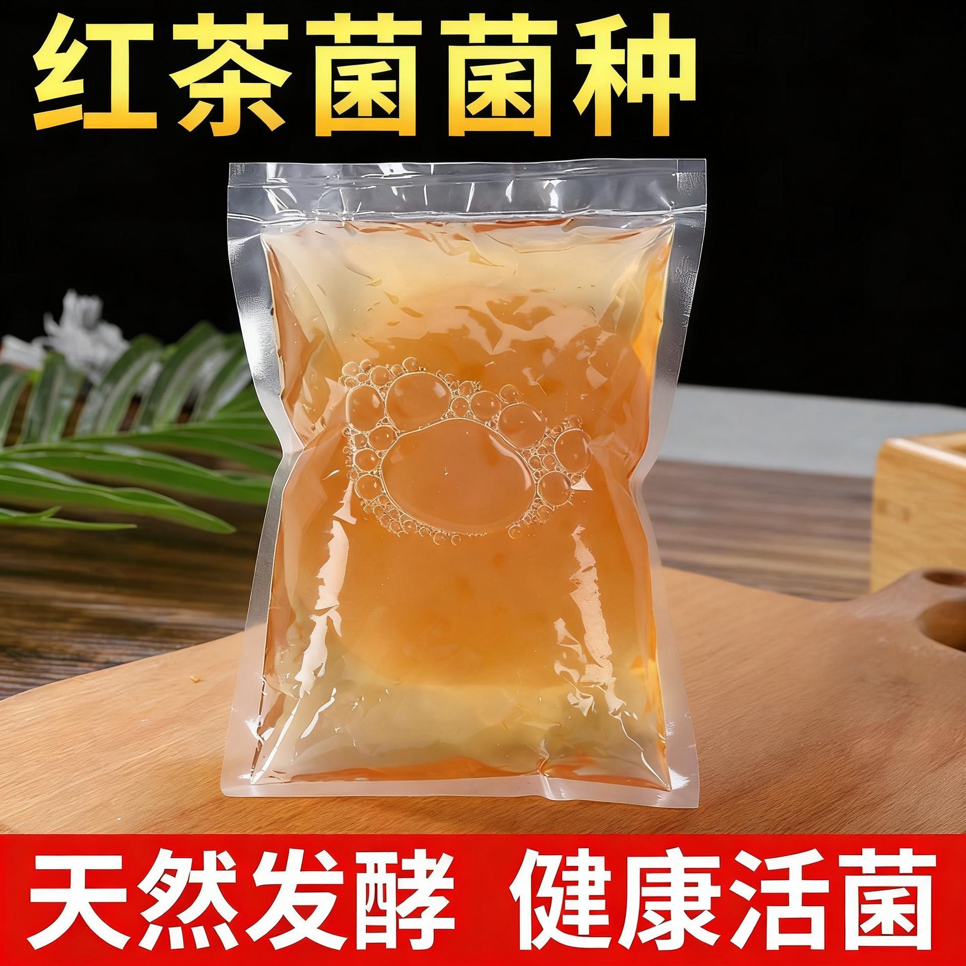 红茶菌胃宝老菌种厚养胃酵素妈妈养生茶醋蛾子海宝菌康普茶旗舰店图片