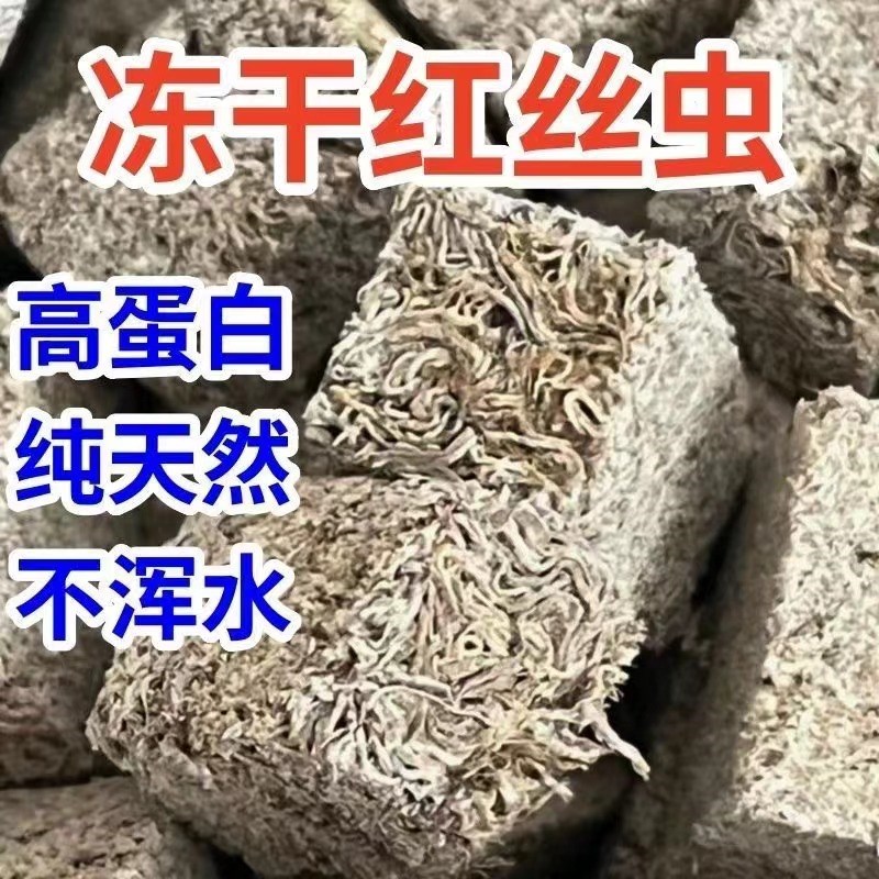 红丝虫块冻干小型观赏鱼饲料孔雀鱼鹦鹉鱼燕鱼鱼食水蚯蚓鱼粮龟粮