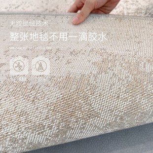 轻奢高级感现代简约可擦免打理卧室床边地毯 无胶地毯客厅2025新款