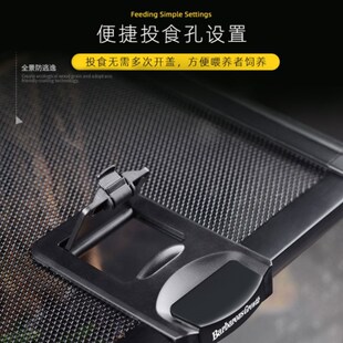 BG生态雨林造景爬宠饲养箱睫角守宫蜥蜴宠物蛇角蛙蜘蛛树栖玻璃缸