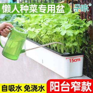 家庭阳台种菜盆长方形专用箱自吸水懒人花盆自动窄型塑料盆栽神器