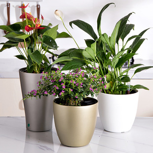 圆形智能自动浇灌花盆无孔办公室家居桌面摆设简约懒人花盆自吸水