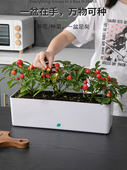 阳台长方形花盆自吸水种菜盆蔬菜种葱窗台窄长型花盆长条可视水位