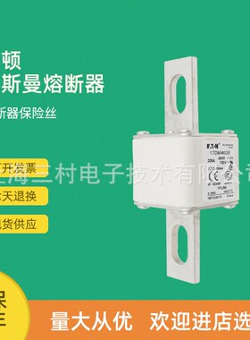 全新原装快速熔断器保险丝170M4608 170M4609 170M4610 170M4611
