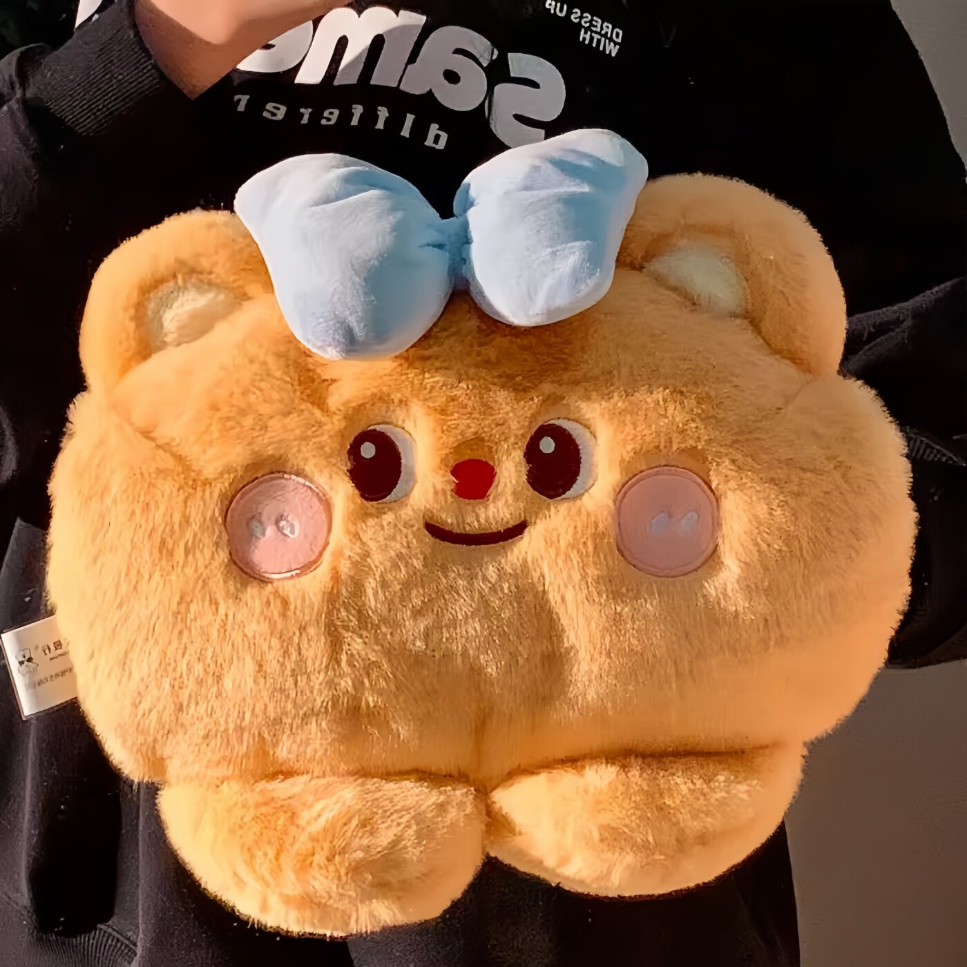 可爱小熊充电防爆毛绒热水袋暖水袋暖宝宝闺蜜情侣款暖手袋情侣款