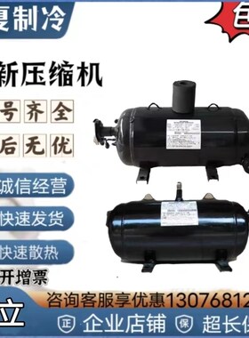 DS1529S1 DS1836S1 DL1634SO DL1529S1 DS1834SO日立卧式压缩机