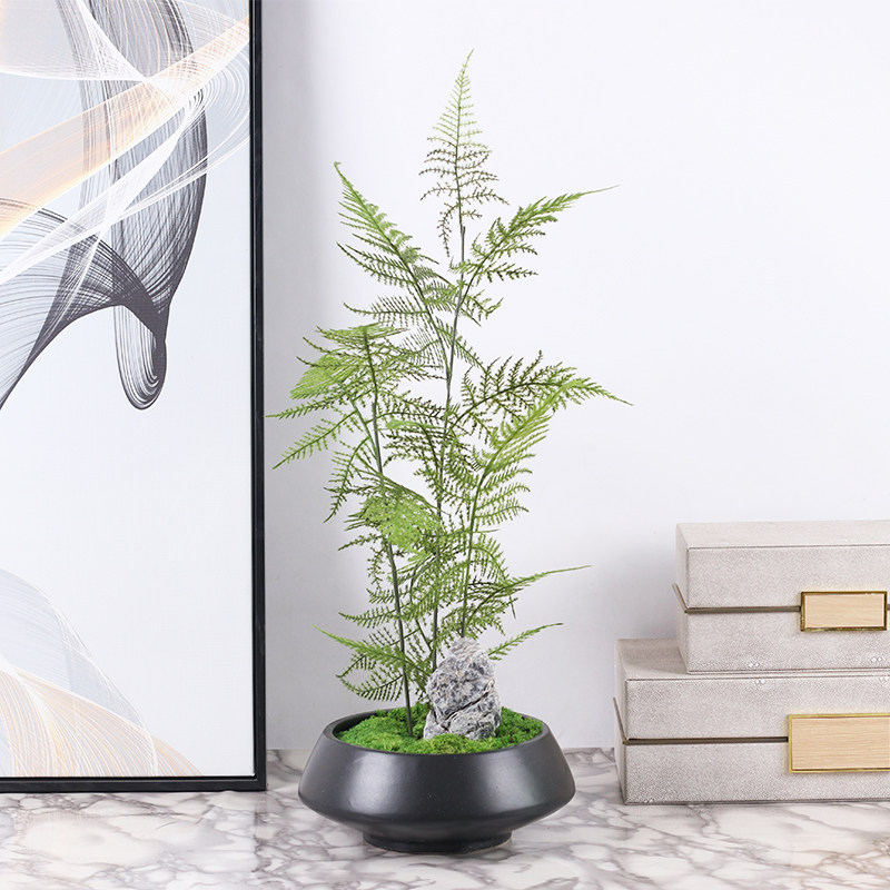 中式仿真文竹盆栽绿植盆景样板房客厅售楼处玄关植物案头软装饰品