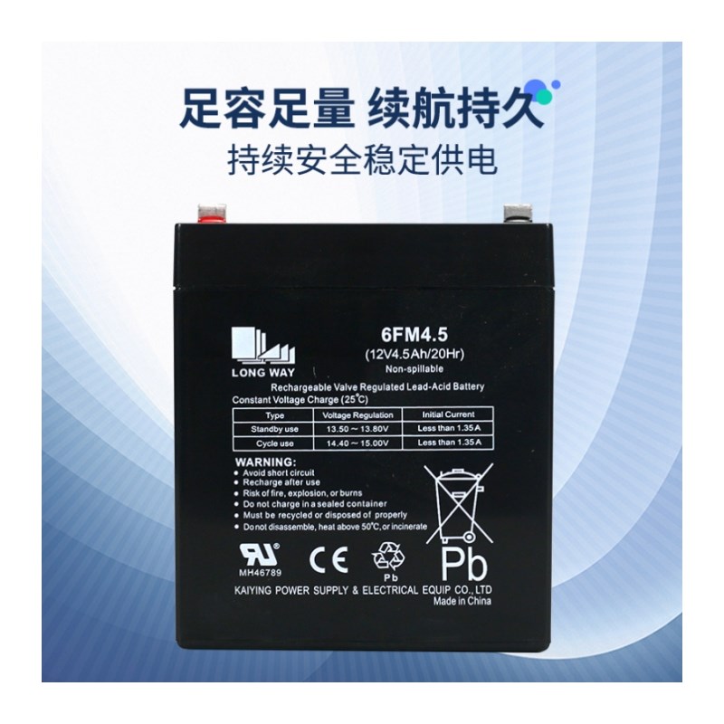 LONGWAY 龙威蓄电池 6FM4.5 12V4.5AH 音响 卷帘门专用 电瓶 电池