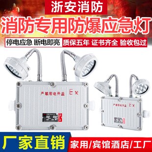防爆应急灯LED疏散标志牌消防C照明灯加油站EX防爆安全出口指示灯