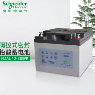 APC施耐德蓄电池M2AL-12V65AH100AH150AH200AH铅酸UPS电源EPS应急