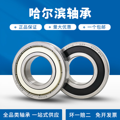 哈尔滨轴承大全6200 6201 6202 6203 6204 6205 6206 6207 2RS ZZ