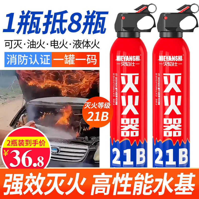 21B不锈钢车载灭火器便携式