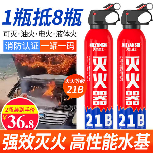21B不锈钢车载灭火器便携式
