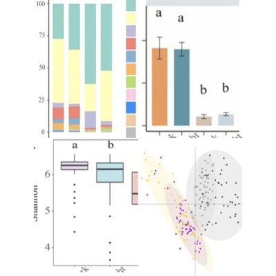 网络药理学 IF1-9 分中药复方分子对接 生信 SCI + 实验服务 医学